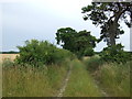 TF7601 : Farm track south of Gooderstone by JThomas