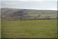 Grazing land near Aire Head