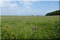 NU1733 : Farmland near Glororum by DS Pugh