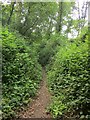 Bridleway, Touching Head Copse