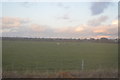 SJ3565 : Flat farmland by N Chadwick