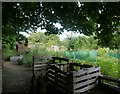 Allotments by the road to Bepton