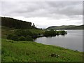 NC6036 : The shore of Loch Naver by David Purchase