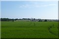 Farmland off Swinhoe Road