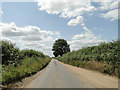 TG2420 : Un-named road near Langmere Lakes, Horstead by Adrian S Pye