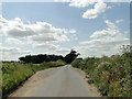 TG2420 : Passing Place on narrow un-named road at Horstead by Adrian S Pye