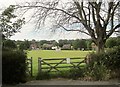 Cricket at Dinton