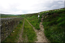 SD9633 : The Pennine Way takes a turn uphill by Bill Boaden