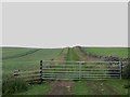 NU0226 : Farm track towards Lilburn Hill by Graham Robson
