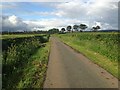 Minor road near Darnhay