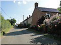 Roses hanging onto cottages at Ingham