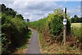 Public footpath from Wick to Pershore Bridges, Wick, Worcs