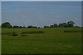 Farmlands by the railway north of Stretton Heath