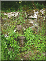 SD4780 : Old water pump by Throughs Lane, Storth by Karl and Ali