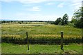 Farmland above Bilton