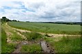 Farmland below Shilbottle