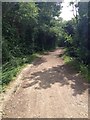 Bridleway leaving Harston