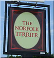 TL8784 : Sign for the Norfolk Terrier, Thetford by JThomas