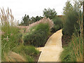 Path through a garden in the Olympic Park