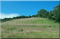 Hay field above the A24