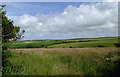 SS2322 : Devon farmland north-east of Elmscott by Roger  D Kidd