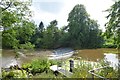 Weir near Morpeth