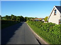 Cottages near Annfield