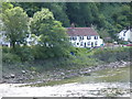 Tintern: View upstream from the Wire Bridge