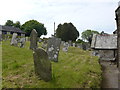 St Martin, Martinhoe: churchyard (h)