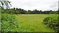 Blackwell Common, heathland