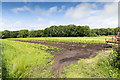 Field near Becksies Wood