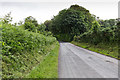 Lane approaches Tenterdale Wood