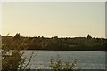 View across the lake in Fairlop Waters