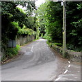 Road from Ferryside to Broadlay