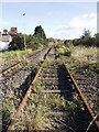 Derelict sidings south of Willesden Junction