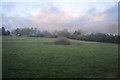 Small pond in a field