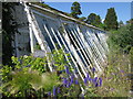 Derelict glasshouse at The Walled Nursery