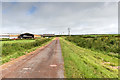 NX9911 : Un-metalled road near Watson Hill by David P Howard