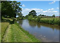 Trent & Mersey Canal towards Weston