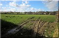 Field near Pempwell