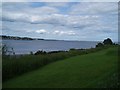 Grassland overlooking Tay Estuary