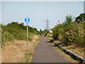 TQ7282 : Manorway cycle track by Robin Webster