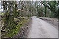 Country road near Docton