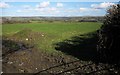 Field near Holwell House