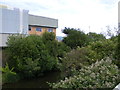 Canal Bridge View