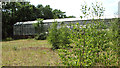 Disused greenhouses at derelict garden centre