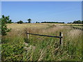 Wilby - Footpath bridge looking across to TG Askew