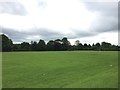 Newcastle-under-Lyme: playing fields off St Paul