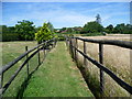 Footpath past a cat boarding establishment