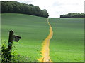 Hangers Way between Alton and East Worldham